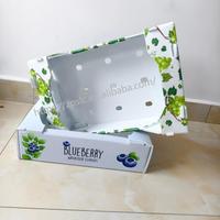 Boîte d'emballage en carton creux PP robuste et durable du fabricant chinois Boîtes logistiques pliantes réutilisables pour fruits et légumes