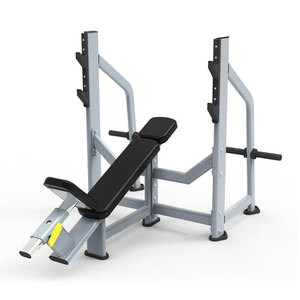 Banco de Pesas Ajustable de Acero HengQing HQ7624, Banco Utilitario para Levantamiento de Pesas, Equipo de <span class=keywords><strong>Fitness</strong></span> Comercial para Fisicoculturismo - Product Image 1