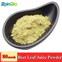 Poudre de jus de feuilles de betterave naturelle/poudre de feuilles de betterave