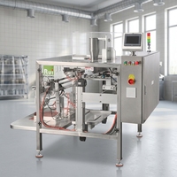 Machine d'emballage automatique à station unique R-D600 pour sachets préformés, idéale pour l'emballage de snacks, granulés, poudres et sachets Doypack à fermeture éclair