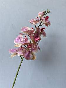 Orquídea <span class=keywords><strong>Phalaenopsis</strong></span> <span class=keywords><strong>de</strong></span> 9 cabezas, flores artificiales para decoración <span class=keywords><strong>de</strong></span> bodas - Product Image 5