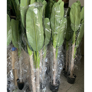 Banane artificielle Anti-uv personnalisé de haute qualité, <span class=keywords><strong>arbre</strong></span> fruit en bananier, décoration intérieure - Product Image 5