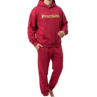 Ensemble de survêtement pour homme en coton 100% premium avec broderie 3D, personnalisable avec logo, vente en gros, tailles US, style universitaire