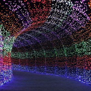 Thông Minh <span class=keywords><strong>LED</strong></span> Cổ Tích Chuỗi Đèn Ứng Dụng Điều Khiển Giáng Sinh Trang Trí Sân Vườn Ngoài Trời Patio Chiếu Sáng Cho Patio Chiếu Sáng Trang Trí - Product Image 1