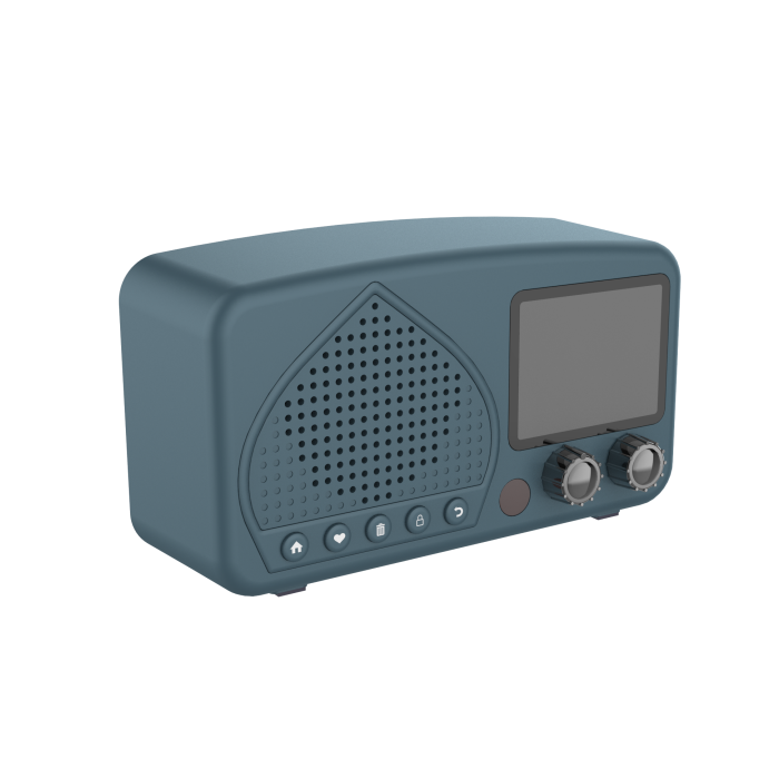 choyong a8w internet radio