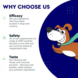 Poudre dentifrice pour chiens et chats pour l'hygiène buccale, élimine la mauvaise haleine, élimine le tartre et la plaque dentaire, soutien immunitaire, enrichi en vitamines - Product Image 2