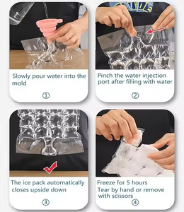 Suministro <span class=keywords><strong>de</strong></span> fábrica Cubo <span class=keywords><strong>de</strong></span> hielo desechable Paquete <span class=keywords><strong>de</strong></span> hielo frío Bolsa enfriadora Plástico transparente LDPE Bolsa <span class=keywords><strong>de</strong></span> congelador <span class=keywords><strong>de</strong></span> cubitos <span class=keywords><strong>de</strong></span> hielo con cierre automático - Product Image 4