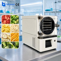 Mini-déshydrateur sous vide de laboratoire LABOAO avec pompe à vide intégrée