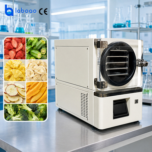Mini-déshydrateur sous vide de laboratoire LABOAO avec <span class=keywords><strong>pompe</strong></span> <span class=keywords><strong>à</strong></span> vide intégrée - Product Image 3