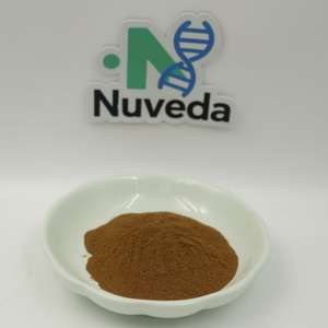 Doğal çin bitkisinden yüksek kaliteli organik berberin özü 97% Amurense Phellodendron kabuğu - Product Image 2