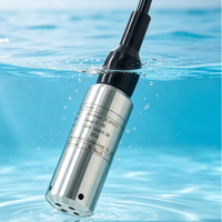 IP68 2m 150m 500m Anpassbarer Digitaler Flüssigkeits-Tiefbrunnen-Wasserstandsensor