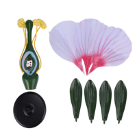 Excellent instrument pédagogique, modèle de fleur de pommier en PVC, modèle anatomique durable, sciences médicales du collège, Xuequan