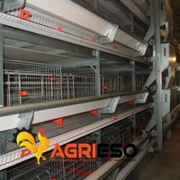 Cage à poulets de chair en acier galvanisé durable, équipement d'élevage préfabriqué pour poulailler