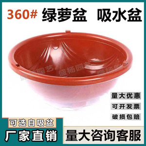 Pot de fleurs auto-arrosant 360° transparent rouge à aspiration automatique pour plantes d'intérieur usage domestique moulage par injection - Product Image 4
