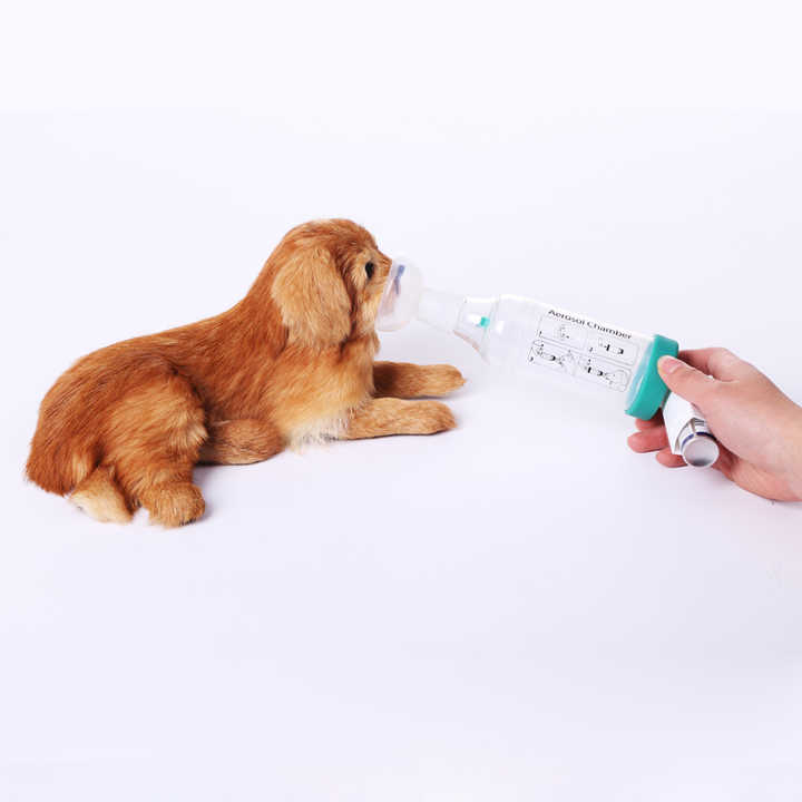 Where to Buy Inhaler Spacer - Veterinary Products for Cats