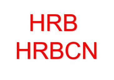Guangdong HongRu Technology Co., Ltd