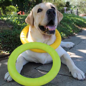 Anneau de jeu pour chien en EVA, durable et à mâcher, pour l'entraînement des Malinois, Labrador, Teddy - Product Image 2