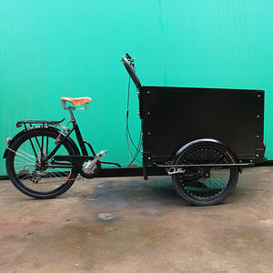 Bicyclette électrique à 3 roues pour bébé <span class=keywords><strong>cargo</strong></span>, appareil de voyage <span class=keywords><strong>cargo</strong></span> - Product Image 6