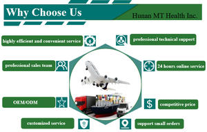 무료 샘플 할랄 저렴한 <span class=keywords><strong>Ulmus</strong></span> Rubra 내부 껍질 머리카락과 애완 동물 내장 위 건강 유기농 미끄러운 느릅 나무 껍질 분말 - Product Image 4