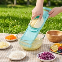 Mandoline à légumes 2-en-1 réglable en acier inoxydable avec lame julienne moyenne de 2,5 mm, en plastique PP, lavable au lave-vaisselle
