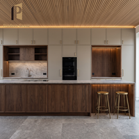 Ensemble d'armoires de cuisine pour projet de villa moderne, finition naturelle, meubles de cuisine haut de gamme pour la maison, armoires de cuisine