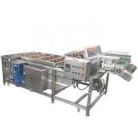 Kleine Citrus Oranje Fruit Groente Auto-Waslijn Bubble Wasmachine Voor Plantaardige Verwerkingsfabriek Motormotor Kern