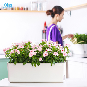 Pots à fleurs rectangulaires en plastique Oliz, jardin d'intérieur, pot à plantes auto-arrosant pour légumes, construire un jardin de balcon de 1 mètre carré - Product Image 1
