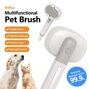 2024 New Pet Grooming Products Multifunctional Negative Ion Massage Pet Brush Cat Dog Comb Self Cleaning Slicker Brush