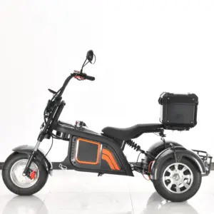 2000w 60 v12ah/20ah batteria citycoco fat tire adult electric trikes/veicoli/scooter elettrico a tre ruote/moto/triciclo