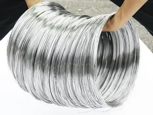 ASTM EN JIS High Strength Inox 304 316 316L 201 321 310 Hot Rolled Thin 0.13mm Ss410 Stainless Steel Wire
