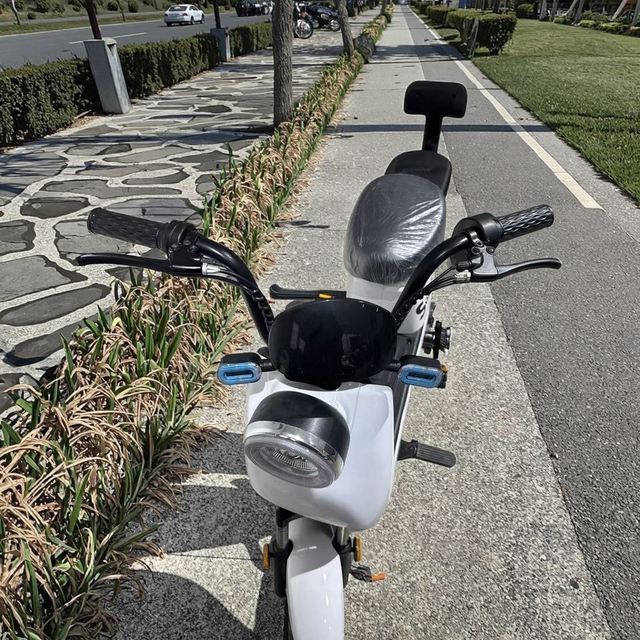 Fashion Electric Scooter 350w 500w Electric Scooters Pedal Electric Bicycle 48v Adult Double Seat