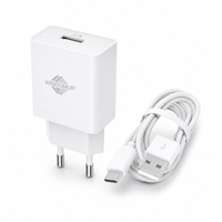 Kit Pengisian Daya Cepat 10W Kabel Tipe-C OEM Colokan EU Port USB Tunggal Bersertifikasi CE untuk Smartphone & Tablet Kemasan Kotak Berwarna