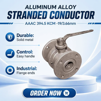 Vannes Jinxin, norme américaine, à passage direct, O41SA-10L-DN, vanne à bille en acier inoxydable, commande manuelle, pour applications environnementales