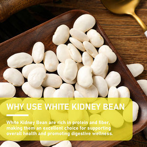 Hot Sale White Kidney Bean Gummies with White Kidney Bean Extract Appetite Supports Carb Control Metabolism Balance Gummies - Product Image 6
