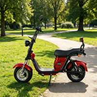 Moto électrique efficace avec une autonomie de 60 km, 3 vitesses, port USB pour les trajets quotidiens en ville