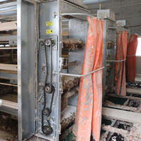 Cage d'élevage de poulets entièrement automatique à 3 niveaux de type H avec système de collecte automatique des œufs Machine d'alimentation télécommandée à économie de main-d 'œuvre