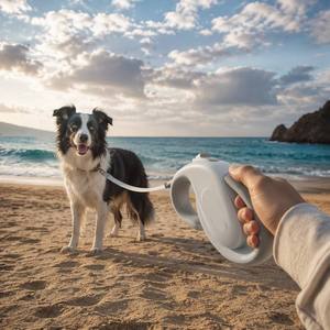 Laisse rétractable pour chien, laisse rétractable automatique pour chiens de petite et moyenne taille - Product Image 4