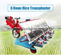 Machine de plantation de riz 6 rangées 8 rangées Prix Transplanteur de riz d'équitation agricole Transplanteur de riz de paddy en Thaïlande