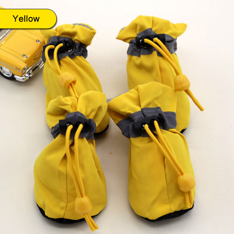 Giallo Primavera/Estate