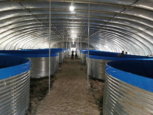 Serbatoio per piscicoltura serbatoi per laghetti per pesci altre attrezzature per l'acquacoltura per l'allevamento ittico - Product Image 2