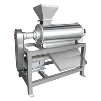 RVS Fruit Tomat Mango Pulper Pulp Sapmachine