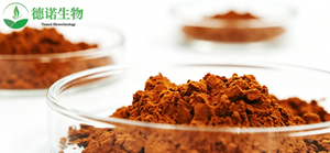 Poudre de théaflavine à mailles fines, antioxydant naturel, extrait de thé noir de qualité alimentaire pour un mélange fluide - Product Image 1