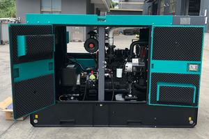 Generador Diésel <span class=keywords><strong>de</strong></span> 20kw con Caja <span class=keywords><strong>de</strong></span> Protección, Tipo Silencioso, Fabricado en EE. UU. - Product Image 5