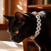 Collier en silicone personnalisé pour chat et chien, motif dessin animé, gravure 3D du nom, matériau de qualité alimentaire, design anti-perte, toutes saisons