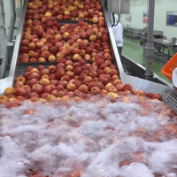 Volledig automatische productielijn voor appel-, peer- en guavensap, inclusief sapcentrifuge, industriële fruitverwerkingslijn, turn-key.