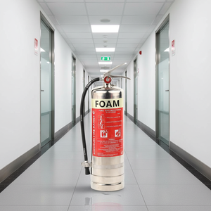 Extincteur à gaz portable en acier inoxydable de 6 kg, <span class=keywords><strong>vente</strong></span> directe d'usine ANSHUN, poudre sèche à base d'eau, classe A/B/E/K - Product Image 3