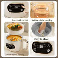 Marmite Électrique Pliable 2L avec Revêtement en Titane, Mini Cuiseur Multifonction, Cuiseur à Riz Pliable et Cuiseur Vapeur