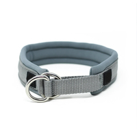 Collier pour chien personnalisé en gros, de luxe, de qualité supérieure, rembourré en mousse, réfléchissant, en nylon, à enfiler