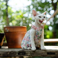 Jupe décontractée ULT Floral Pumpkin pour chat sans poils, en polyester, fraîche et mignonne, style princesse, pour l'été, Chine