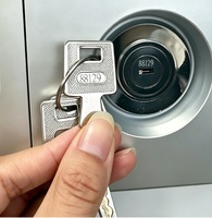 Caja Fuerte Ignífuga con Doble Llave y Recubrimiento en Polvo, Anti-Robo, para Almacenamiento de Dinero y Joyas, con 10 Pernos de Bloqueo